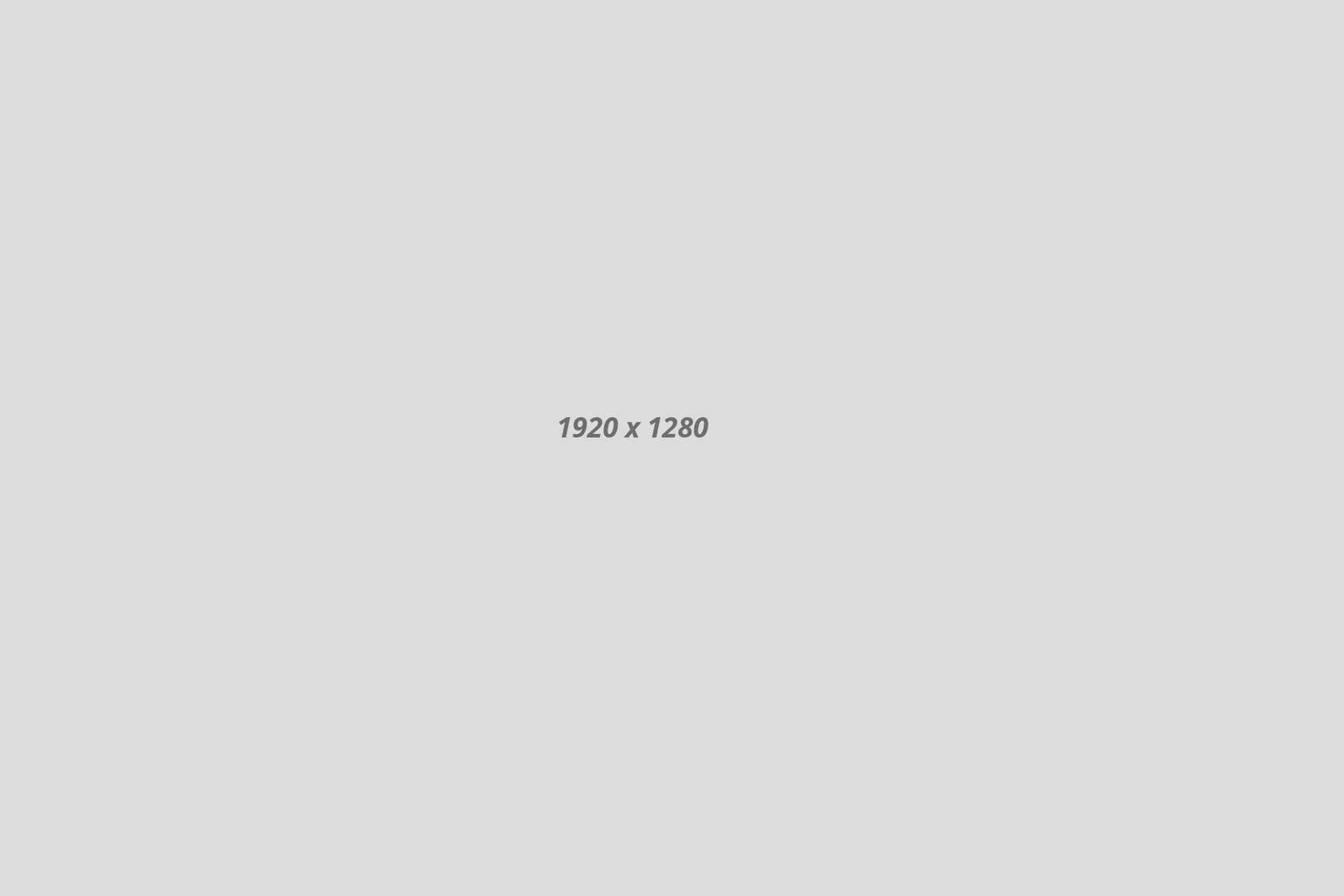 banner1 banner1